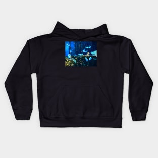 Blue Butterfly Garden Kids Hoodie